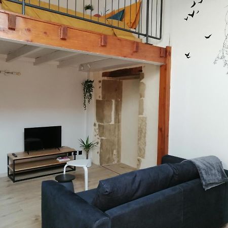Le Studio D'Emma Appartamento Romans-sur-Isère Esterno foto