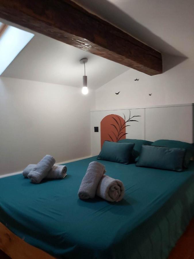 Le Studio D'Emma Appartamento Romans-sur-Isère Esterno foto
