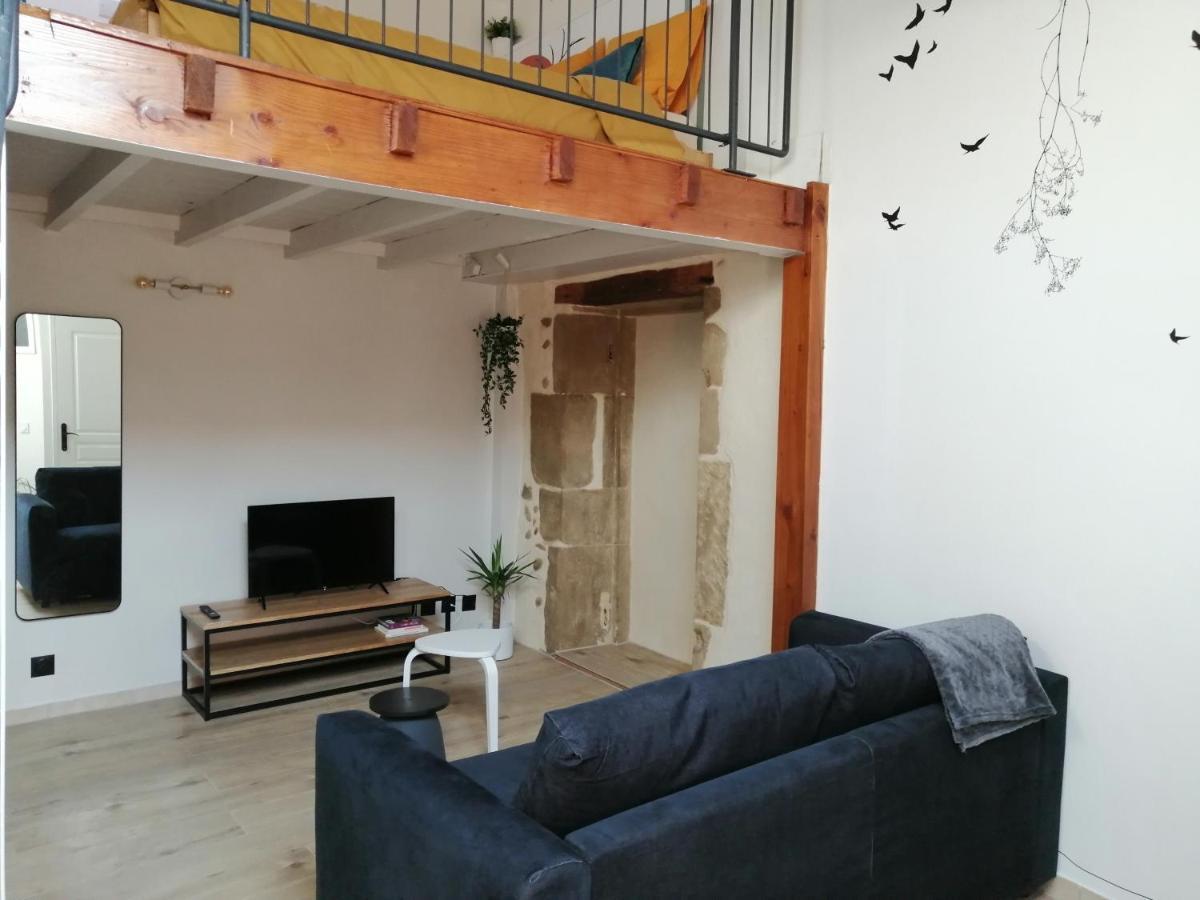 Le Studio D'Emma Appartamento Romans-sur-Isère Esterno foto