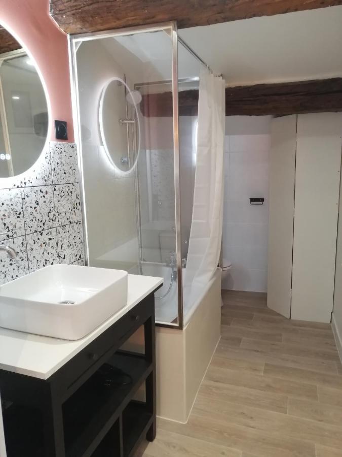 Le Studio D'Emma Appartamento Romans-sur-Isère Esterno foto